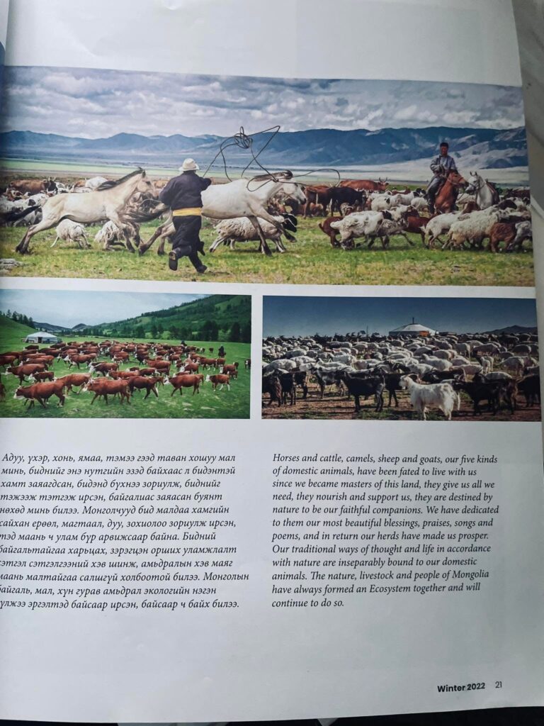 Mongolian nomadic culture