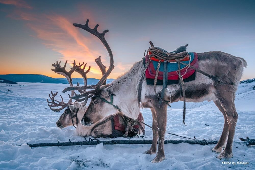 Magic of Mongolia’s four seasons